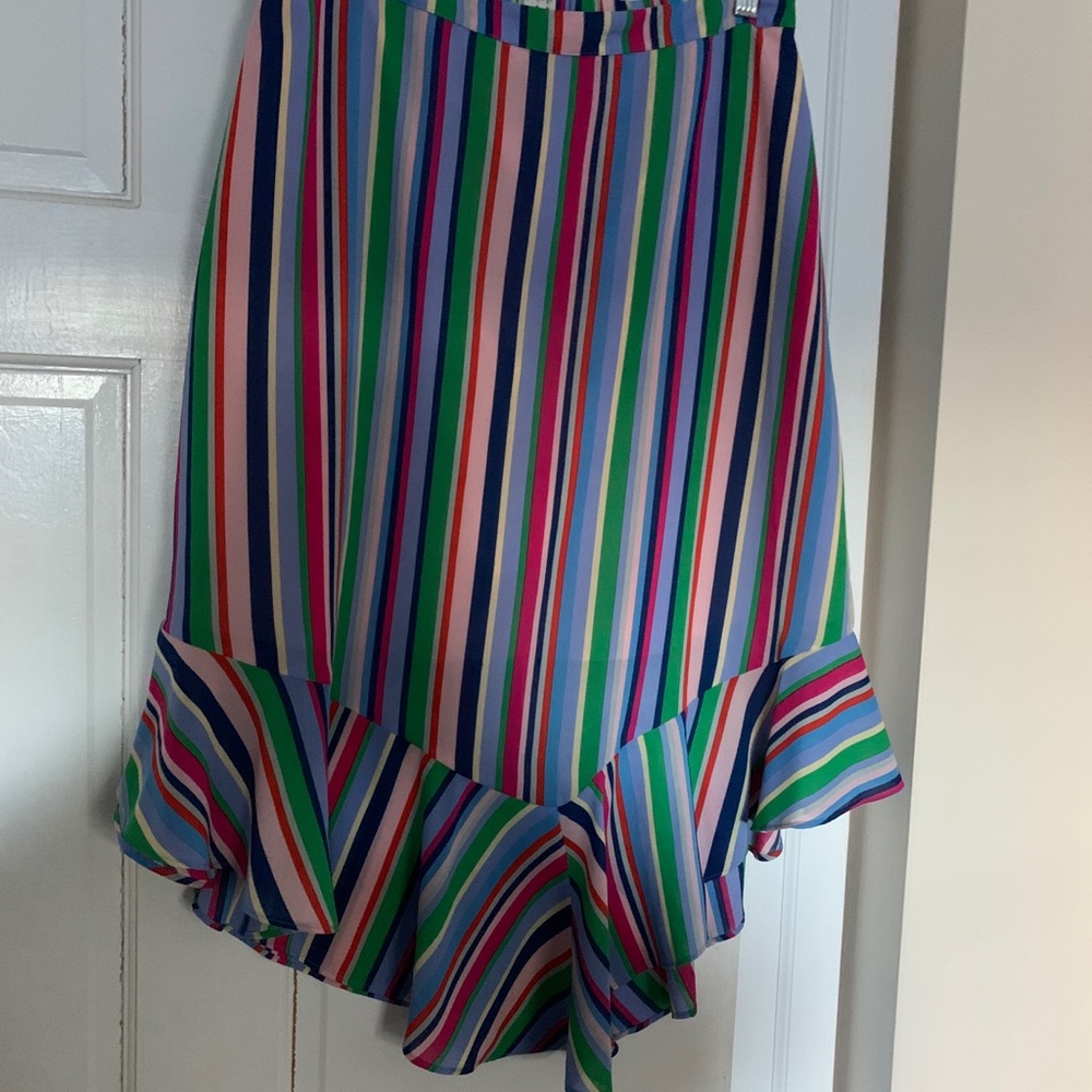 Multi-Colored Stripe Skirt (A New Day)